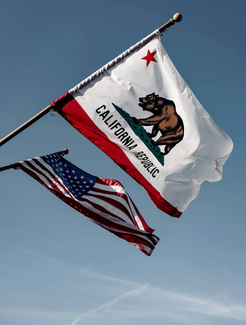 Hallan 117 perros muertos en refugio de California que se promocionaba como "sin sacrificio"