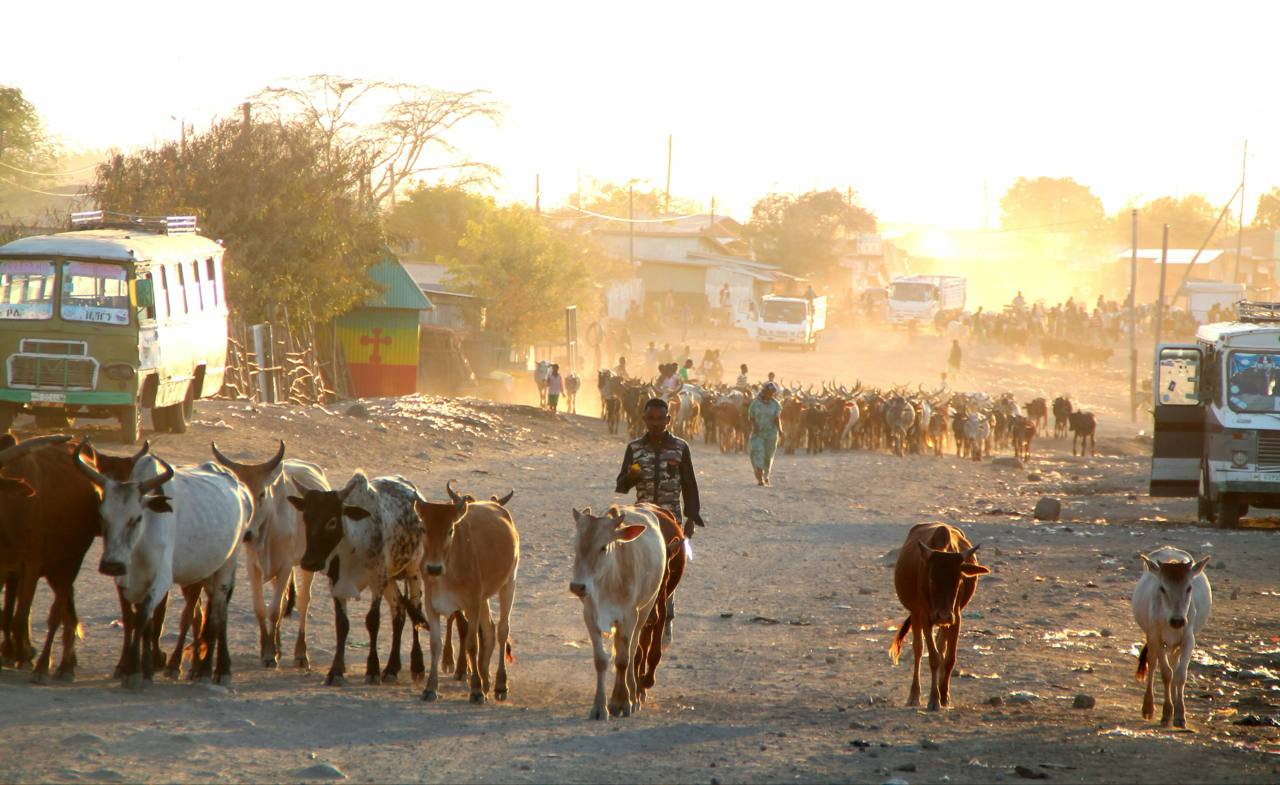 Tensiones entre Etiopía y Eritrea aumentan por demanda de acceso al mar