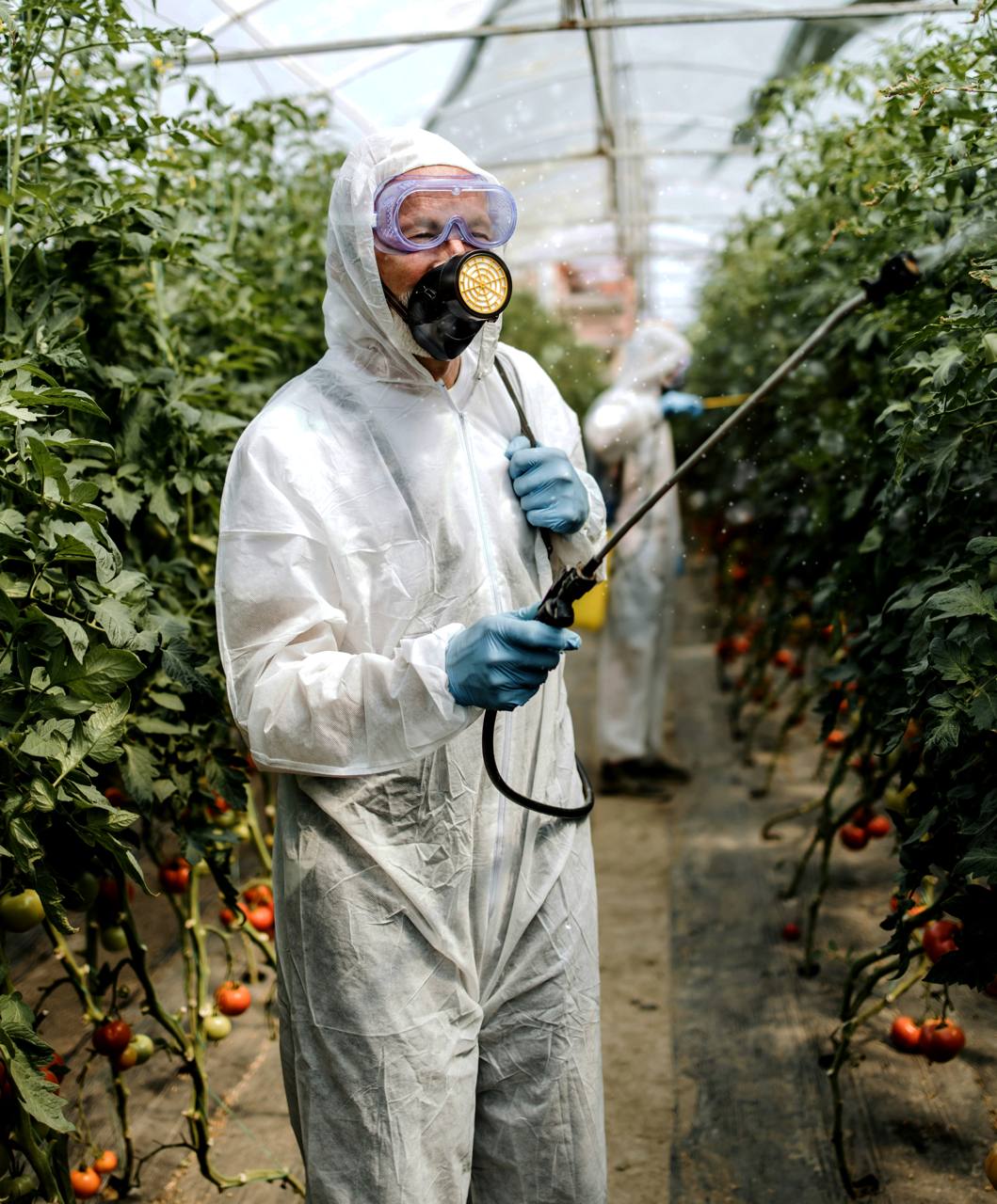 Pesticidas en Texas vinculados a epidemia de Parkinson entre trabajadores agrícolas y residentes del Valle del Río Grande