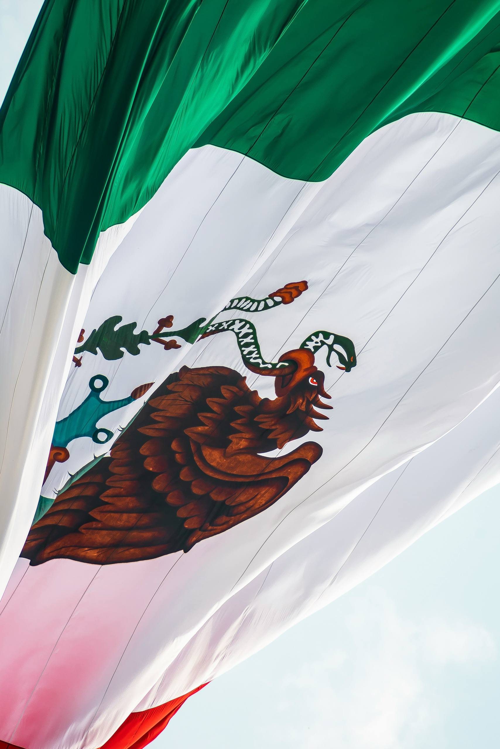 Mundial de fútbol en México dispara violencia doméstica hasta 38% y explotación sexual de menores