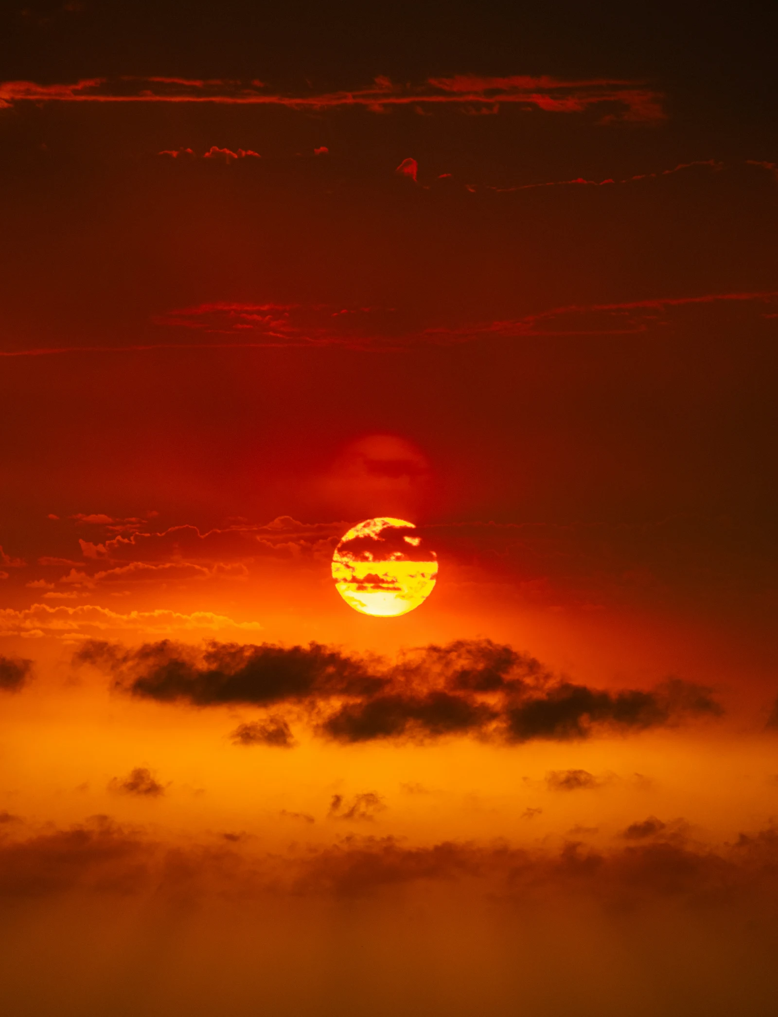 Ola de calor extremo avanza hacia Europa del Este con temperaturas superiores a 40 grados
