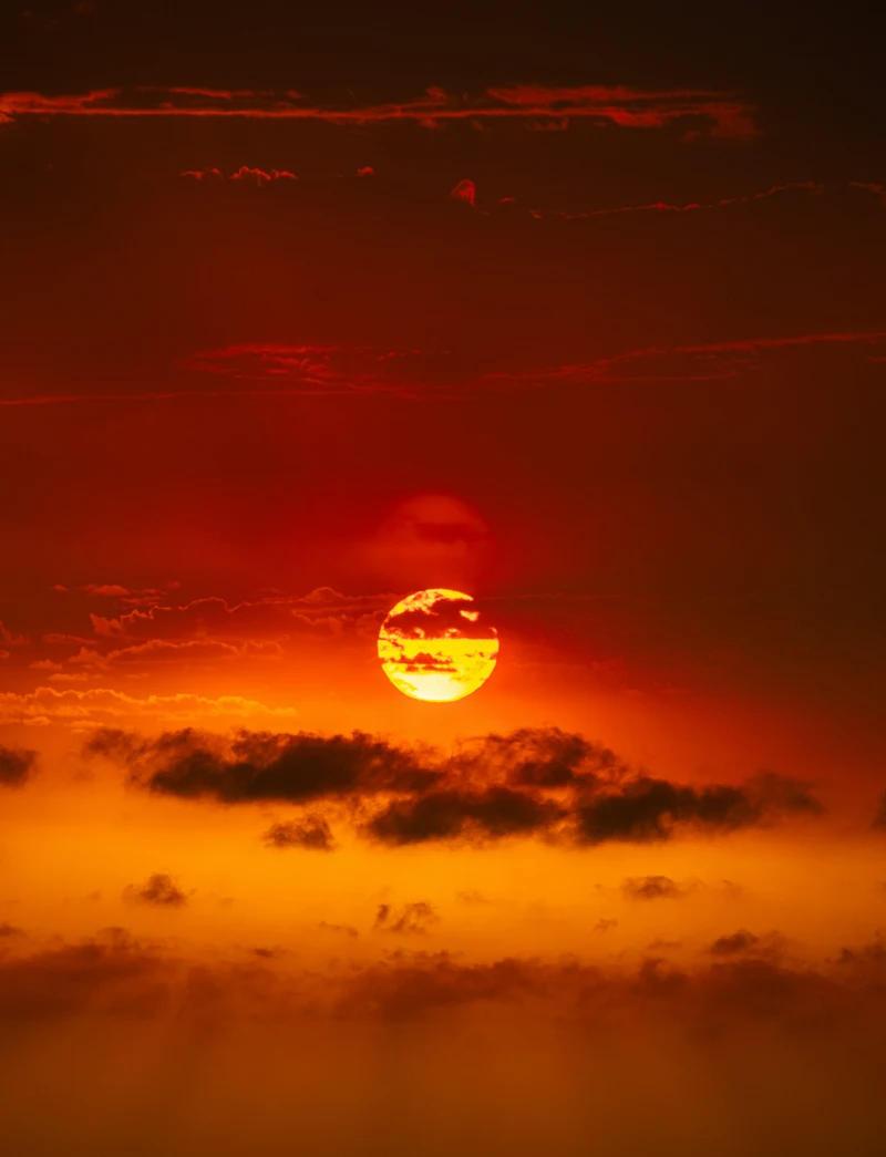 Ola de calor extremo avanza hacia Europa del Este con temperaturas superiores a 40 grados